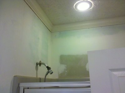 master_bath2.jpg