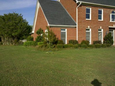 trim_shrubs.jpg