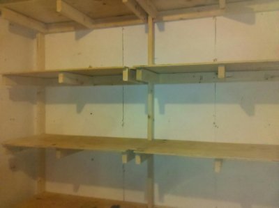 shelves_building.jpg