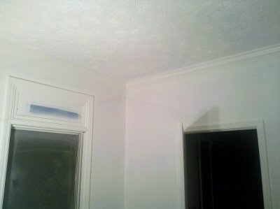 corwn_sprayed1.jpg