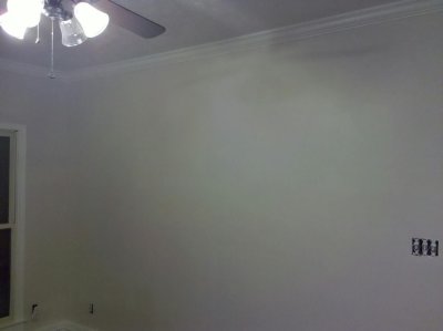 den_firstcoat2.jpg