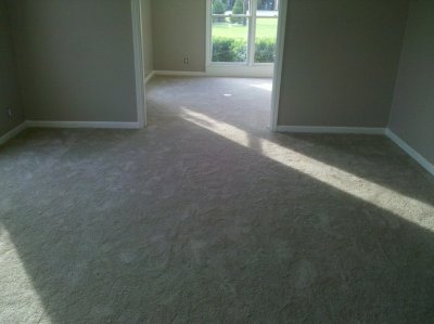living_room_carpet.jpg