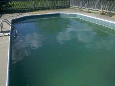 green_pool_foxchase.jpg
