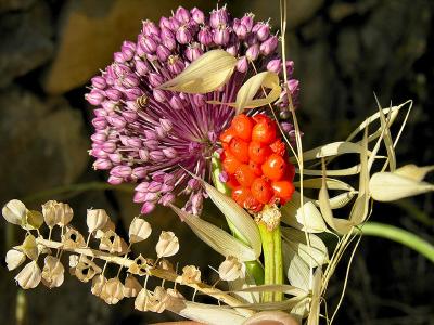 Flowers and Snail 88000736.jpg