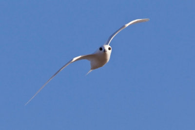 OGP_20110401_3061.jpg