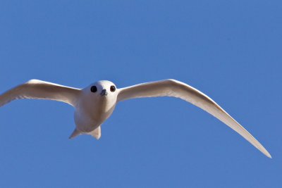 OGP_20110401_3062.jpg