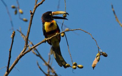 OGP_20110201_0320.jpg