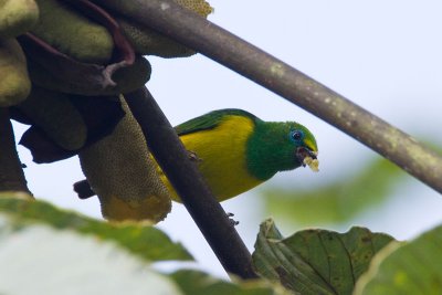 OGP_20110201_0841.jpg
