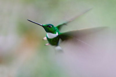 OGP_20110201_0901.jpg