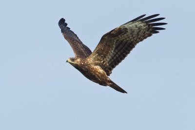 OGP_20111002_0041.jpg