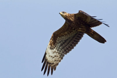 OGP_20111002_0043.jpg