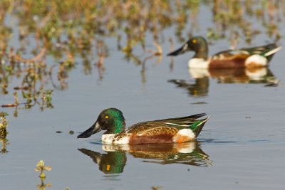 OGP_20111120_0418.jpg