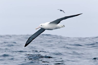 OGP_20101201_0121.jpg