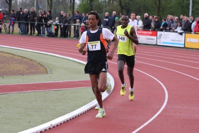 OGP_20120409_ 0163.jpg