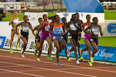 OGP_20120907_122.jpg