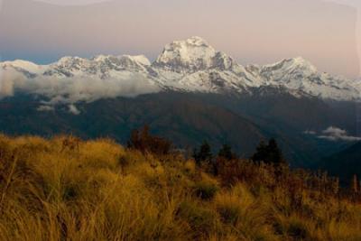 _MG_4285tato-gorepani-poon hill crop.jpg