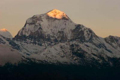 _MG_4296tato-gorepani-poon hill  crop.jpg