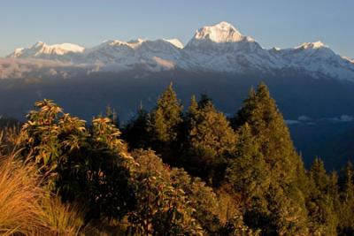 _MG_4316tato-gorepani-poon hill cxrop.jpg