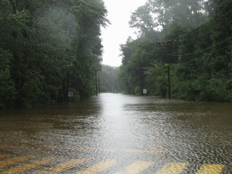 tunxisFlood_deer.jpg