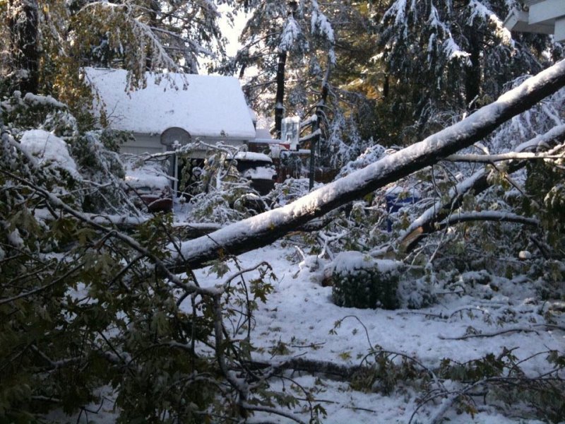 benshoff_driveway.jpg