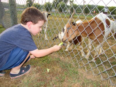 gavin_goat.jpg
