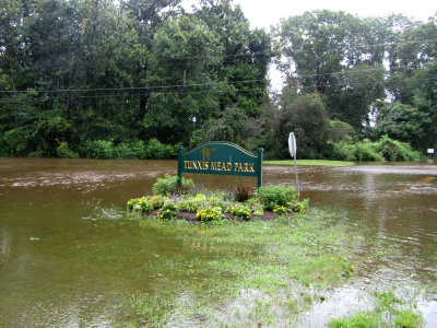 tunxisMeadPark_irened.jpg