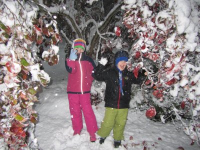 kids_tree.jpg