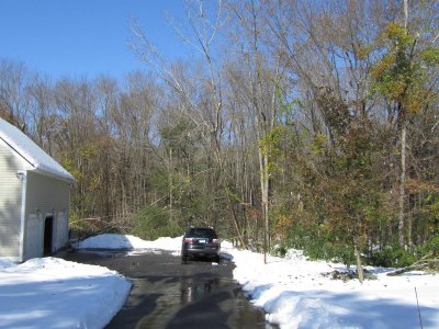 driveway.jpg