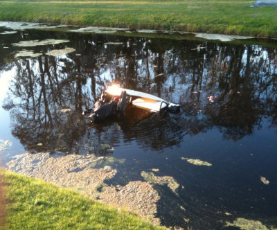 cart_swamp2.jpg