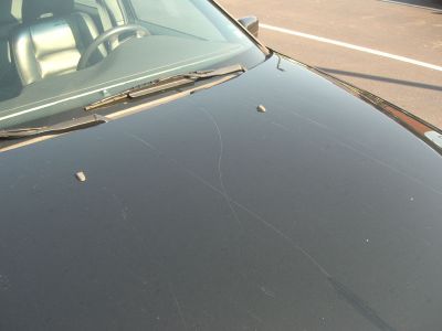volvo_damage_hood.jpg