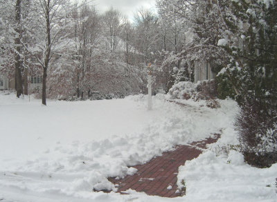 storm2_jan14jpg