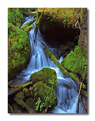 Watson Creek
