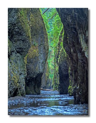 Oneata Gorge
