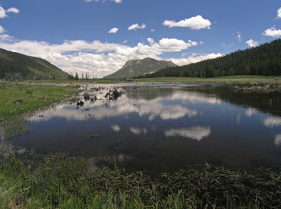 Endovalley reflection