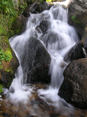 Alpine Brook