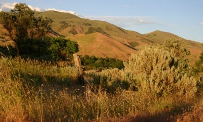 Summer Sunset, Looking Toward Chinese Peak