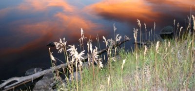 Harriman State Park