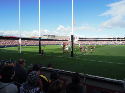 Adelaide AAMI Stadium cats v crows