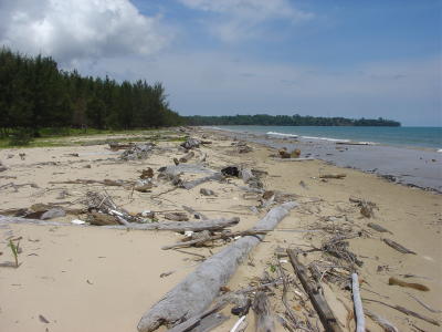 Muara Beach