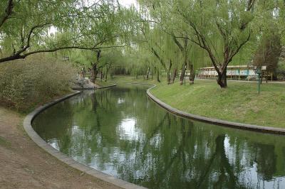 Purple Bamboo Park
