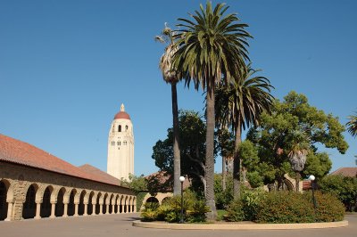 Main Quad: Palm Trees