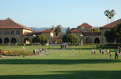 Lawn