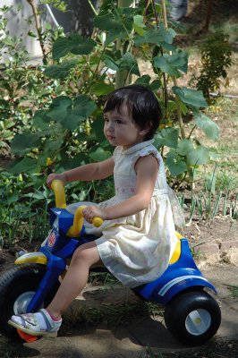 Triking