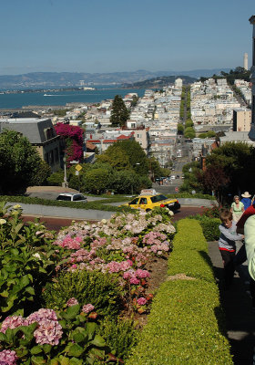 View from Lombard Street