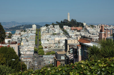 Driving Down on Lombard Street