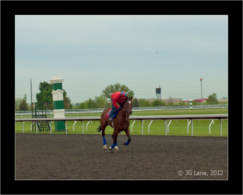Went the Day Well <br> 4th Place in Kentucky Derby
