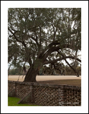 Middleton Plantation (3 of 33).jpg