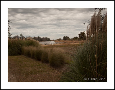 Middleton Plantation (11 of 33).jpg