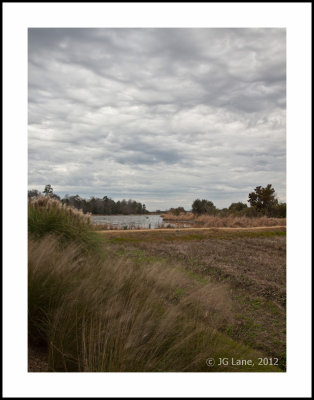 Middleton Plantation (13 of 33).jpg