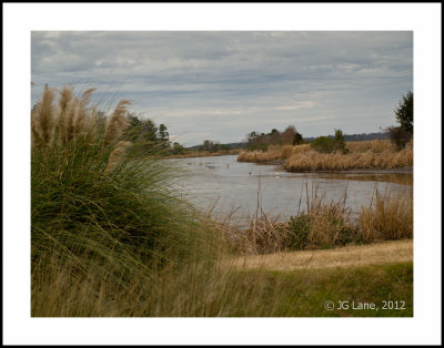 Middleton Plantation (14 of 33).jpg